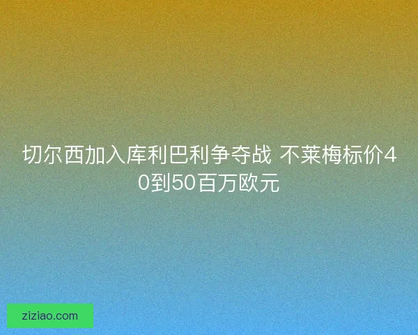 切尔西加入库利巴利争夺战 不莱梅标价40到50百万欧元 切尔西加入库利巴利争夺战 不莱梅标价40到50百万欧元